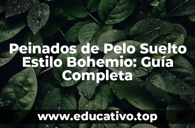 Peinados de Pelo Suelto Estilo Bohemio: Guía Completa