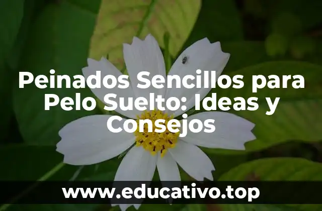 Peinados Sencillos para Pelo Suelto: Ideas y Consejos