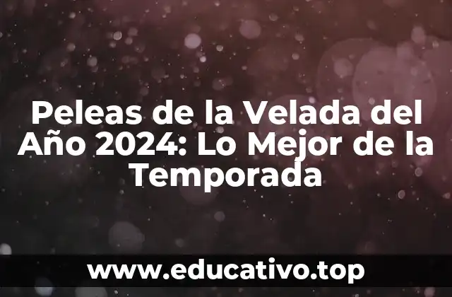 Peleas de la Velada del Año 2024: Lo Mejor de la Temporada
