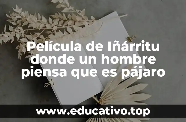 La narrativa simbólica de Birdman y su vínculo con el deseo de volar