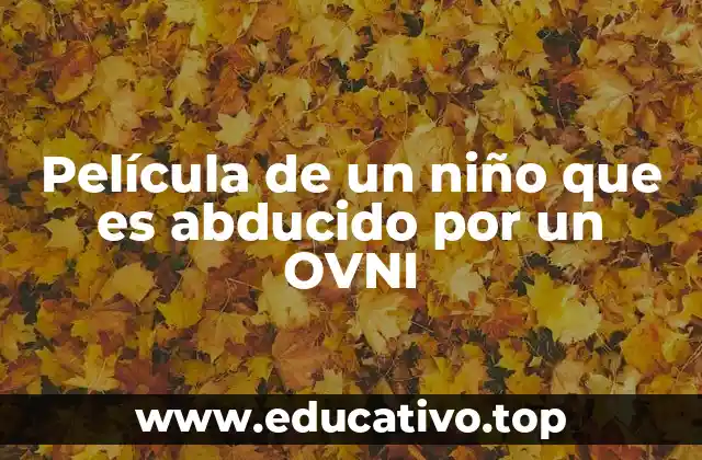 Película de un niño que es abducido por un OVNI
