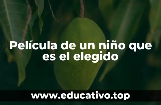 Película de un niño que es el elegido