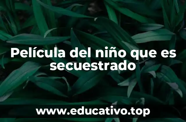 Película del niño que es secuestrado