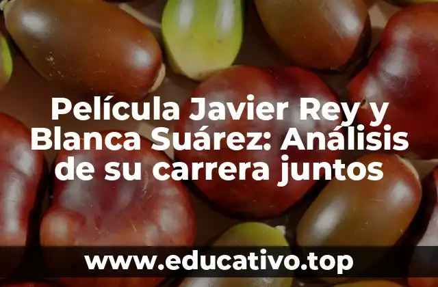 Película Javier Rey y Blanca Suárez: Análisis de su carrera juntos
