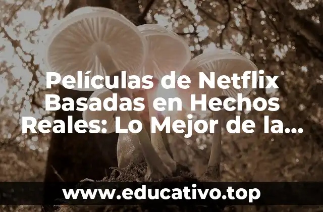 Películas de Netflix Basadas en Hechos Reales: Lo Mejor de la Ficción Inspirada en la Vida Real