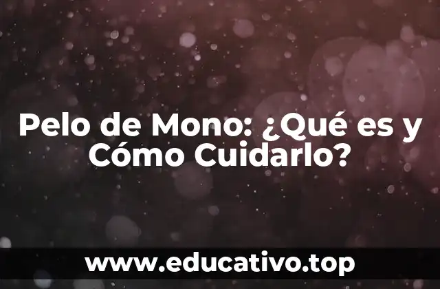 Pelo de Mono: ¿Qué es y Cómo Cuidarlo?