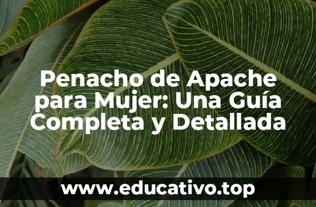 Penacho de Apache para Mujer: Una Guía Completa y Detallada