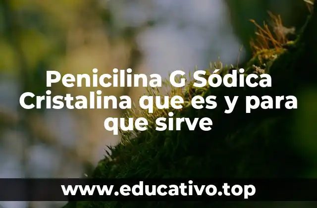 Uso clínico y formas de administración de la penicilina G sódica