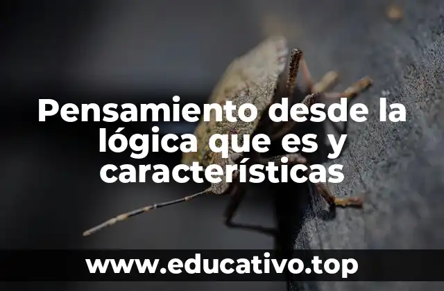 El razonamiento estructurado como base del pensamiento lógico