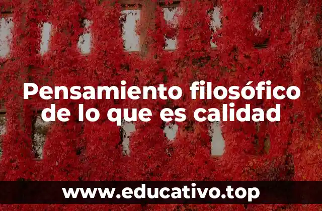Pensamiento filosófico de lo que es calidad