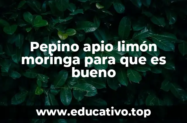 Pepino apio limón moringa para que es bueno