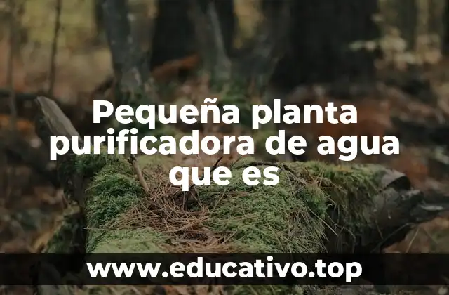 Cómo funciona una planta purificadora de agua a pequeña escala