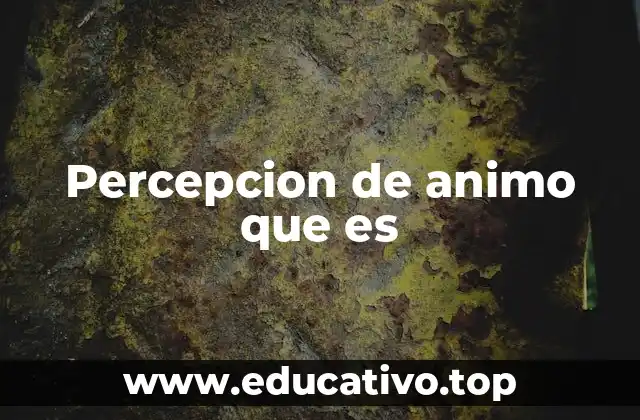 Percepcion de animo que es