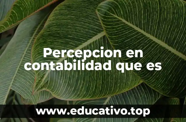 Percepcion en contabilidad que es