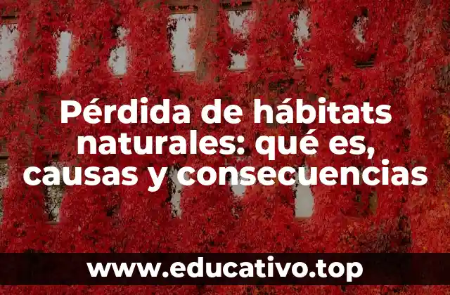 Pérdida de hábitats naturales: qué es, causas y consecuencias