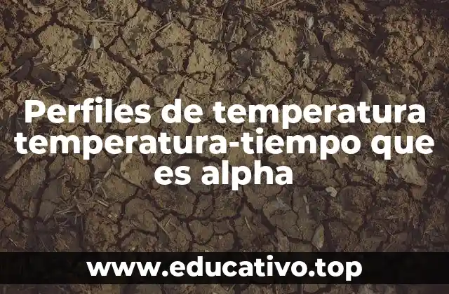 Perfiles de temperatura temperatura-tiempo que es alpha
