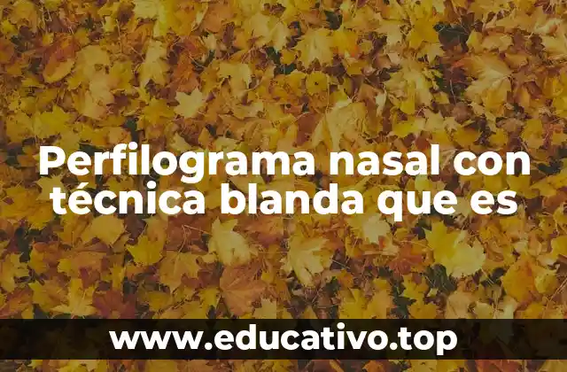 El perfilograma nasal: una herramienta clave en el diseño facial