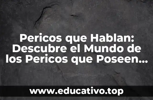 Pericos que Hablan: Descubre el Mundo de los Pericos que Poseen el Regalo del Lenguaje
