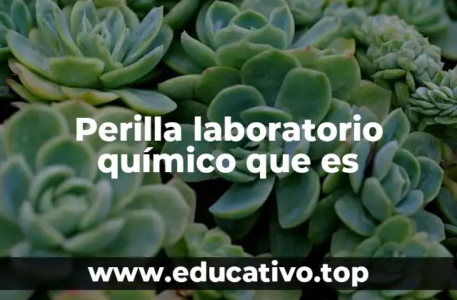 Perilla laboratorio químico que es