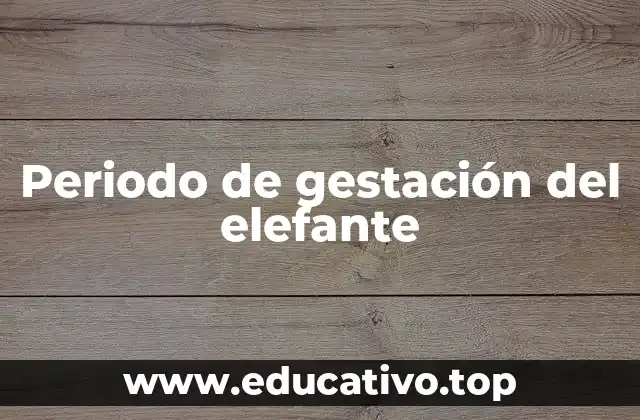 Periodo de gestación del elefante