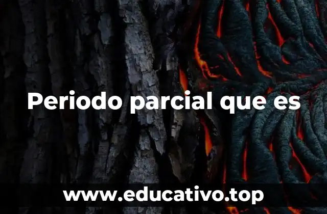 Periodo parcial que es