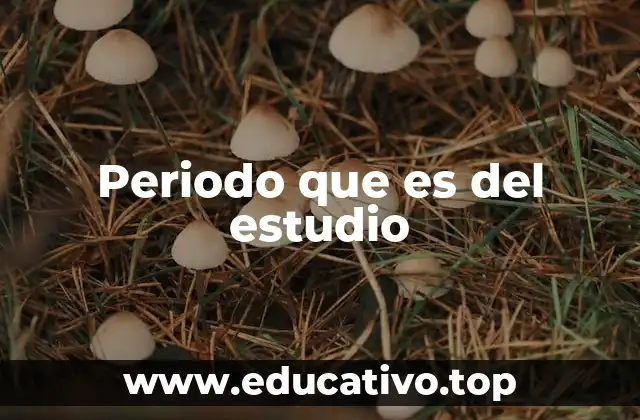 Periodo que es del estudio
