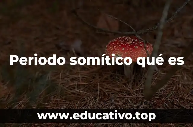 Periodo somítico qué es