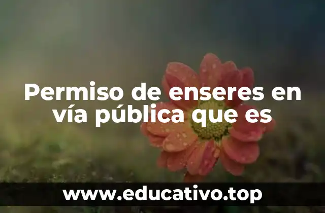 Permiso de enseres en vía pública que es