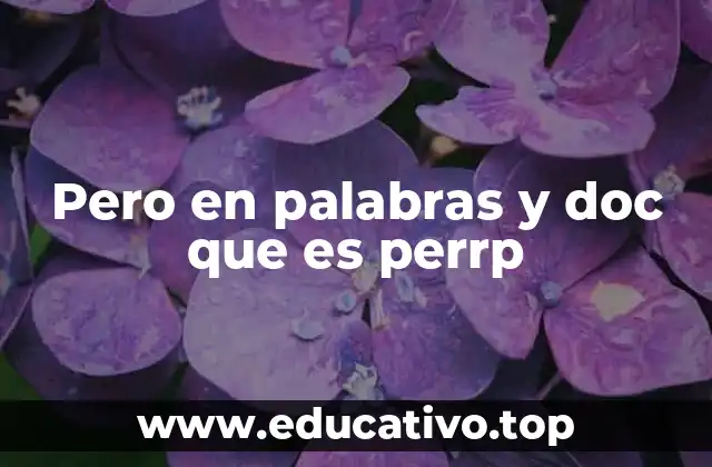 Pero en palabras y doc que es perrp