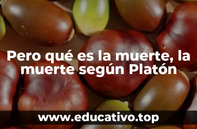 Pero qué es la muerte, la muerte según Platón