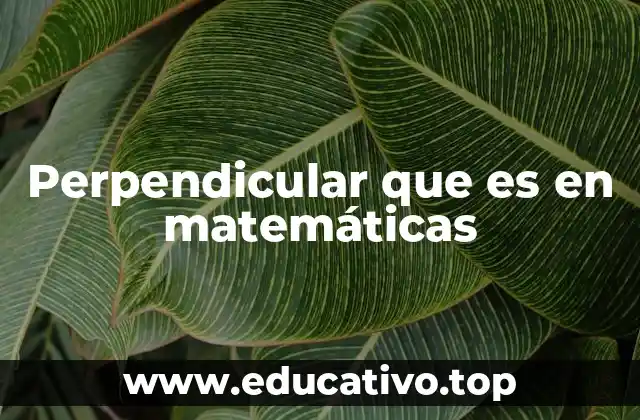 Perpendicular que es en matemáticas