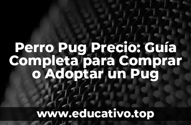 Perro Pug Precio: Guía Completa para Comprar o Adoptar un Pug