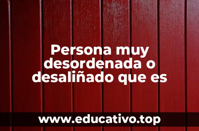 Persona muy desordenada o desaliñado que es