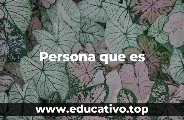 Persona que es