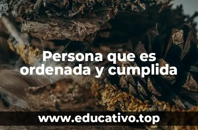 Persona que es ordenada y cumplida