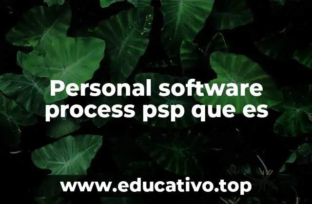 Personal software process psp que es