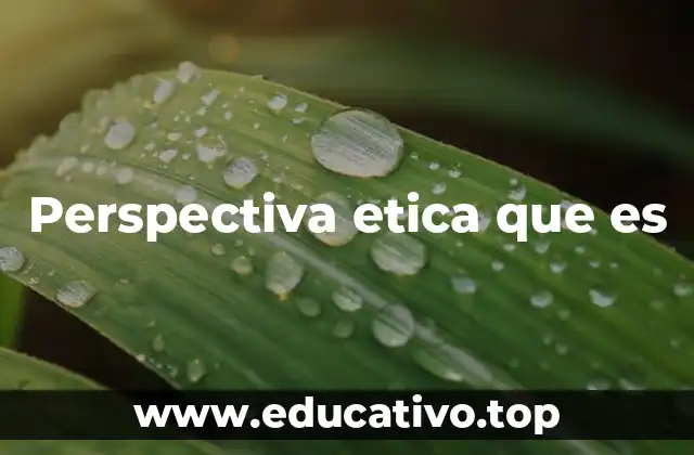 Perspectiva etica que es