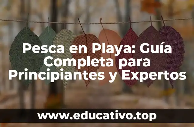 Pesca en Playa: Guía Completa para Principiantes y Expertos
