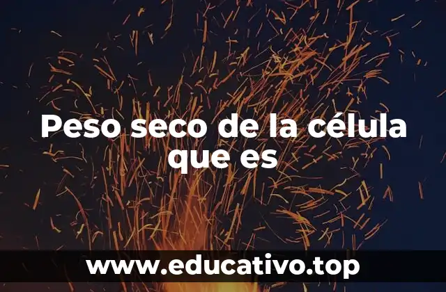 El peso seco como herramienta en la investigación biológica