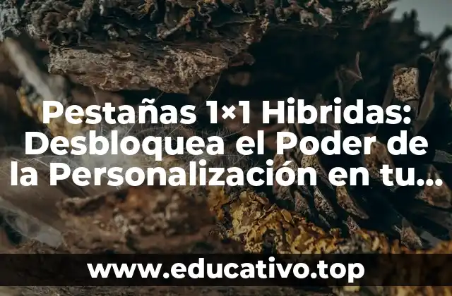 Pestañas 1×1 Hibridas: Desbloquea el Poder de la Personalización en tu Estrategia de Marketing