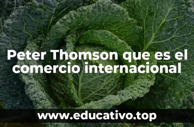 Peter Thomson que es el comercio internacional