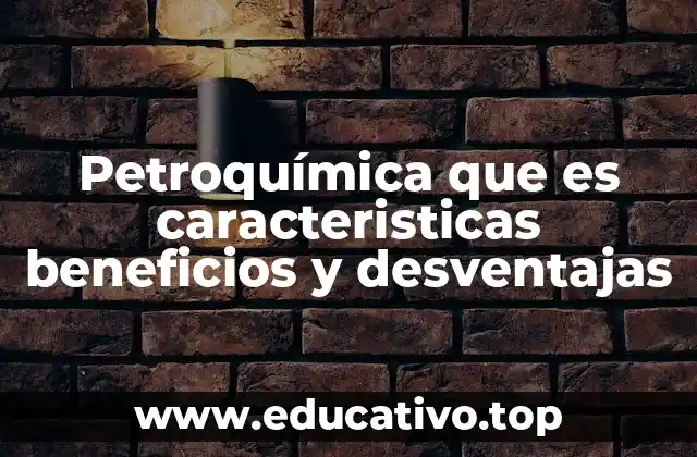 Petroquímica que es caracteristicas beneficios y desventajas