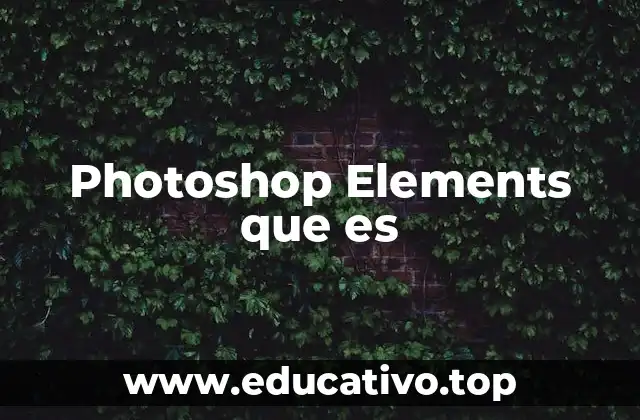 Photoshop Elements que es