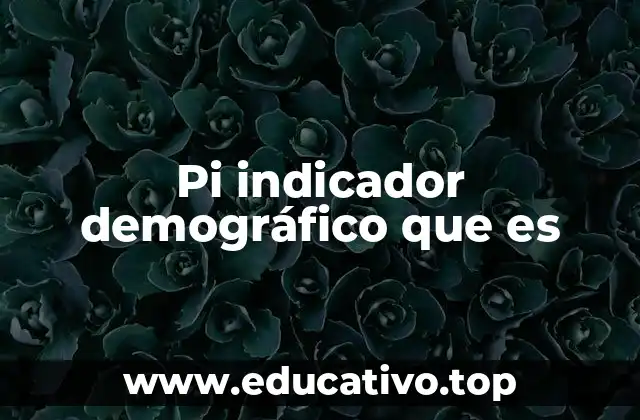 Pi indicador demográfico que es
