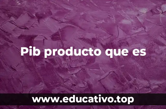 Pib producto que es
