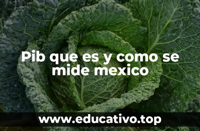 Pib que es y como se mide mexico