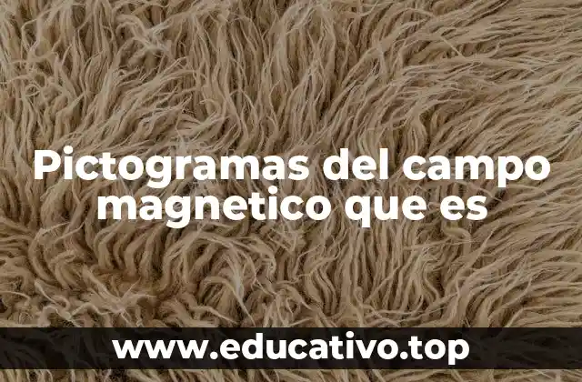 Pictogramas del campo magnetico que es