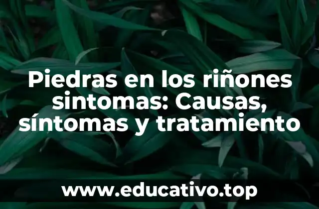 Piedras en los riñones sintomas: Causas, síntomas y tratamiento