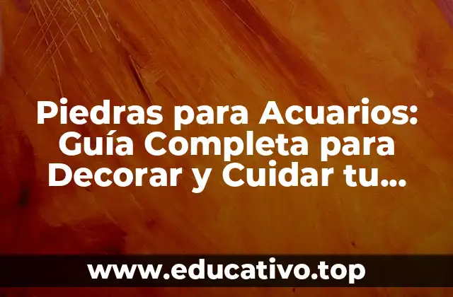 Piedras para Acuarios: Guía Completa para Decorar y Cuidar tu Acuario