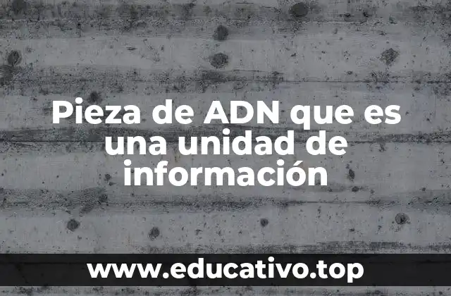 Pieza de ADN que es una unidad de información